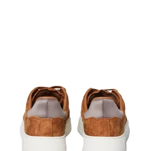 Online Court Classic Sneaker- Foxtrot/ Tofu/ Falcon Shoes