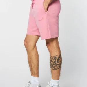 Flash Sale Gradiennte Shorts- Wild Rose Shorts And Swim